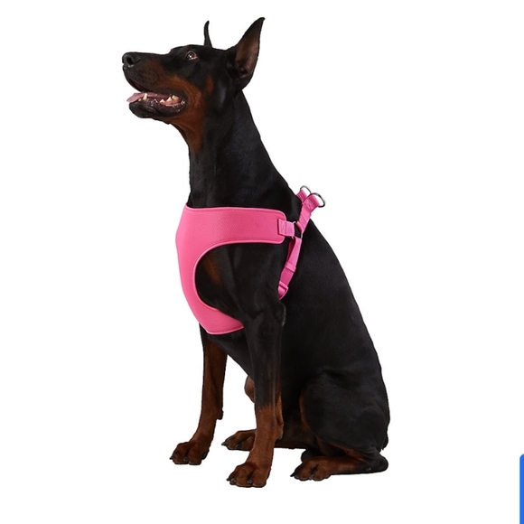 🐾NEW Top Paw Comfort Dog Harness XL - Picture 1 of 5